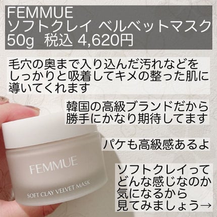 ソフトクレイ ベルベットマスク/FEMMUE/洗い流すパック・マスクを使ったクチコミ(2枚目)