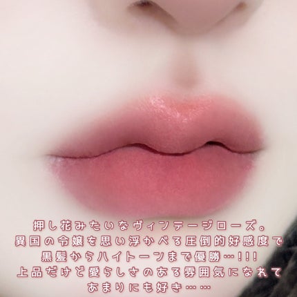 Dinto マダムバタフライコレクション ブラーニングリップベールのクチコミ「𓊆ྀི Romantic Princess 𓊇ྀི
異国の令嬢とベルベットのりぼん。.....」(3枚目)