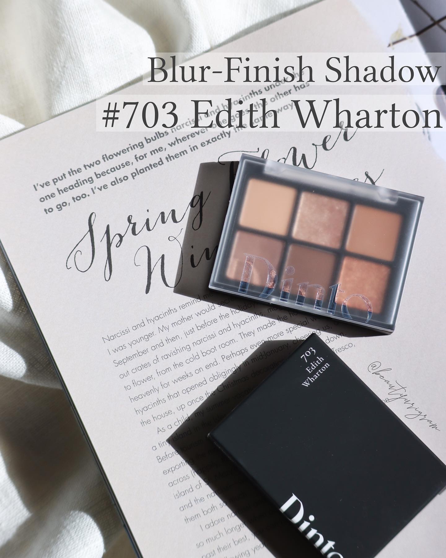 ブラーフィニシュシャドウパレット/Dinto/アイシャドウパレットを使ったクチコミ（2枚目）