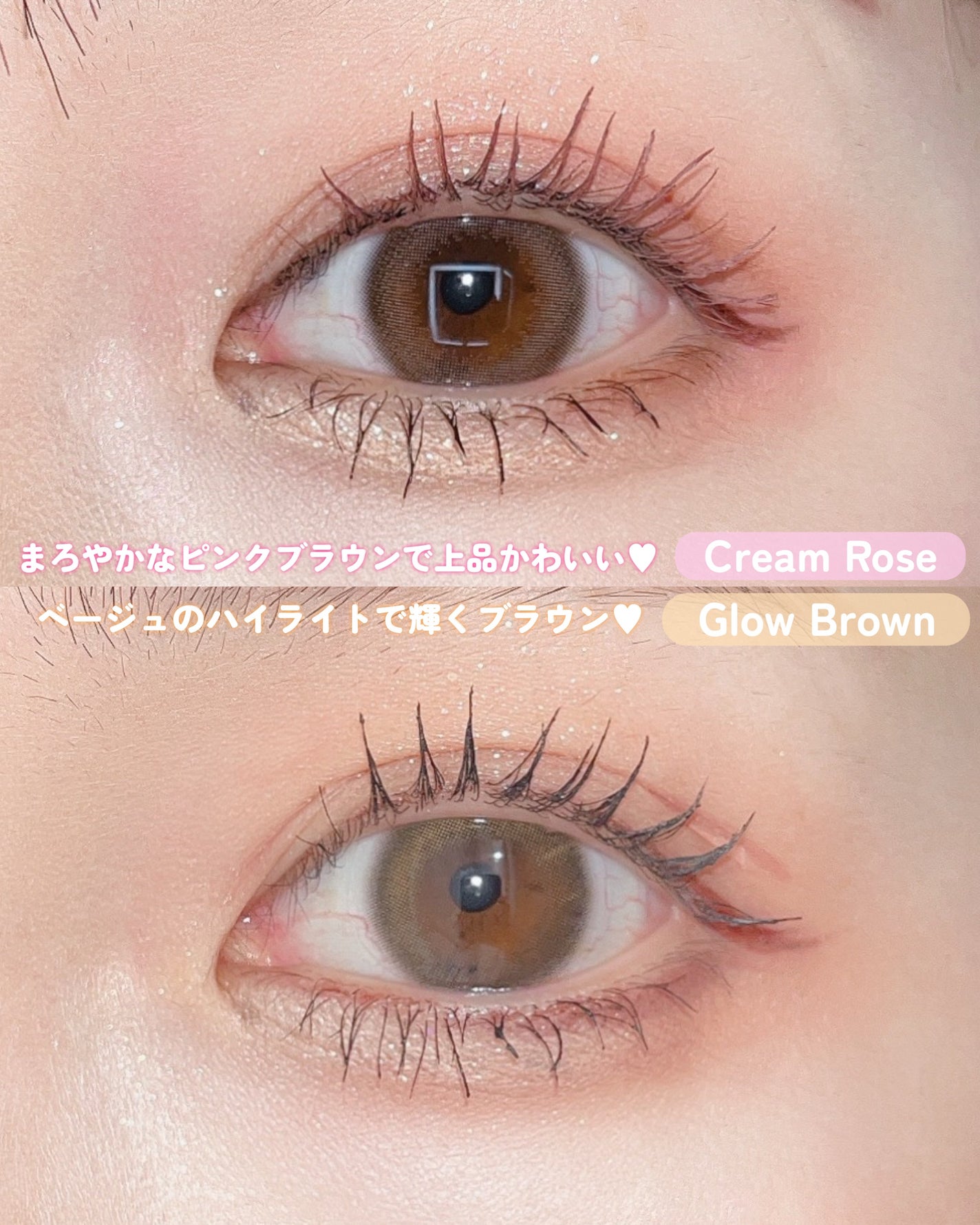 TOPARDS 1day/TOPARDS/ワンデー(1DAY)カラコンを使ったクチコミ(2枚目)