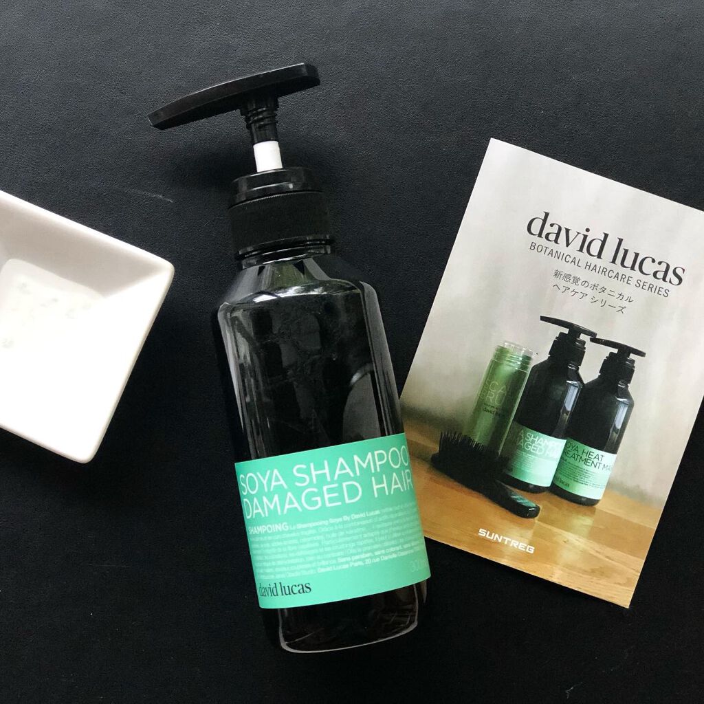 ソヤシャンプー ダメージヘア/David Lucas/シャンプー・コンディショナーを使ったクチコミ（1枚目）