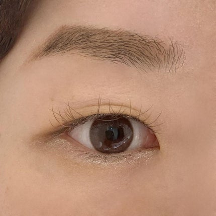 わんだふるアイカラー/KIREI FACTORY/アイシャドウパレットを使ったクチコミ(6枚目)