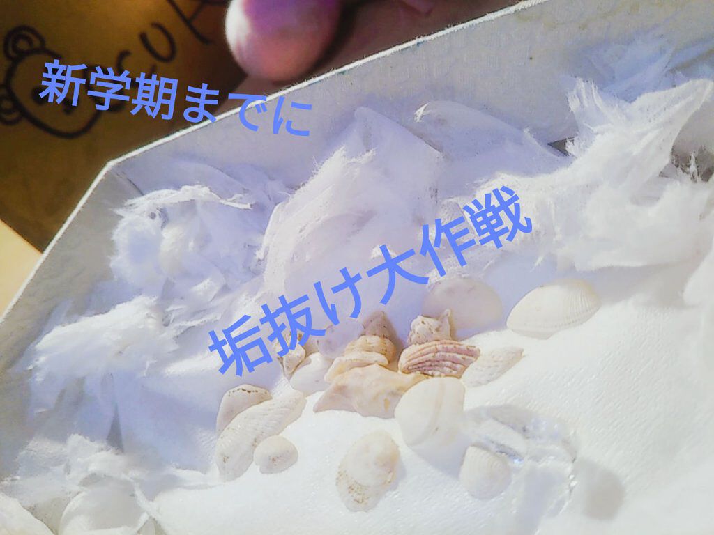 マイルド＆モイスチャーアロエジェル/ネイチャーリパブリック/ボディローションを使ったクチコミ（1枚目）