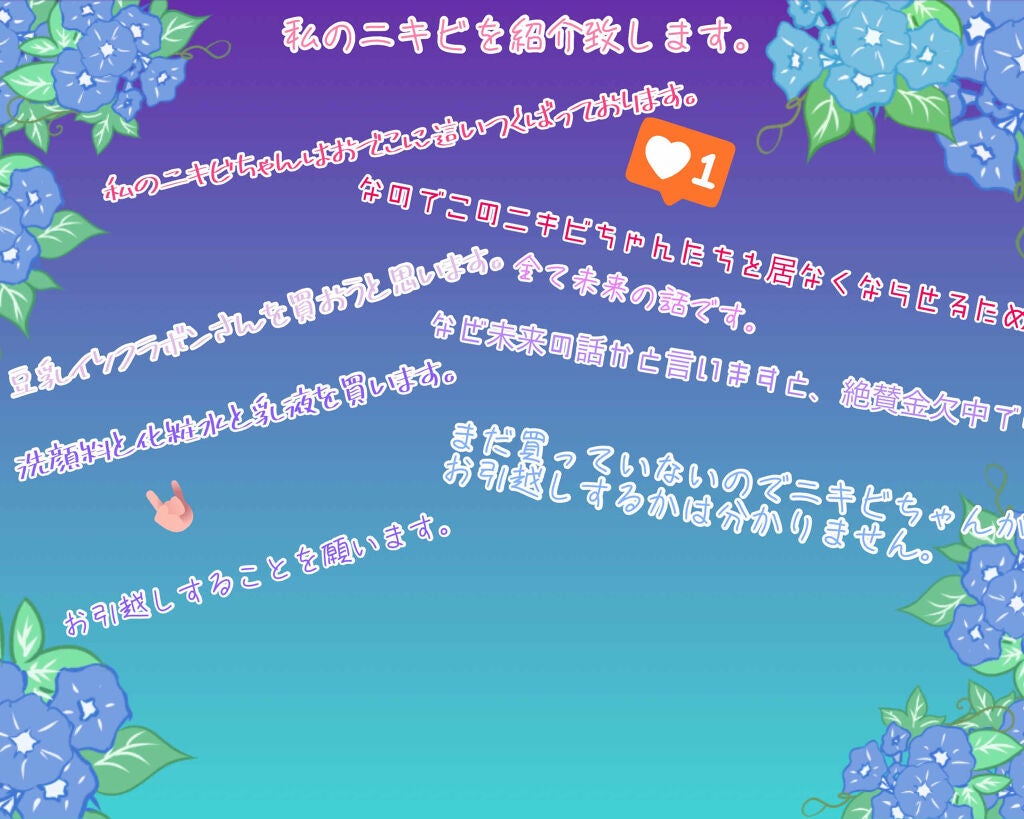 ハトムギ化粧水(ナチュリエ スキンコンディショナー R )/ナチュリエ/化粧水を使ったクチコミ(1枚目)