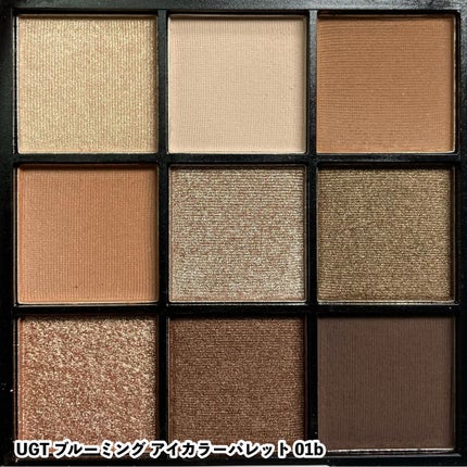 UR GLAM BLOOMING EYE COLOR PALETTE/U R GLAM/アイシャドウパレットを使ったクチコミ(3枚目)