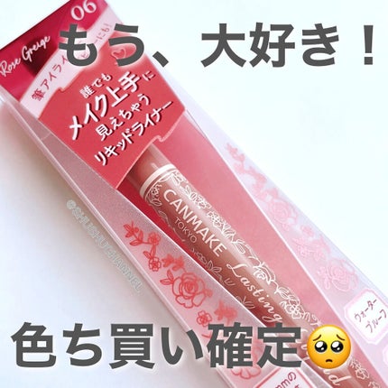 ラスティングリキッドライナー/キャンメイク/リキッドアイライナーを使ったクチコミ(6枚目)