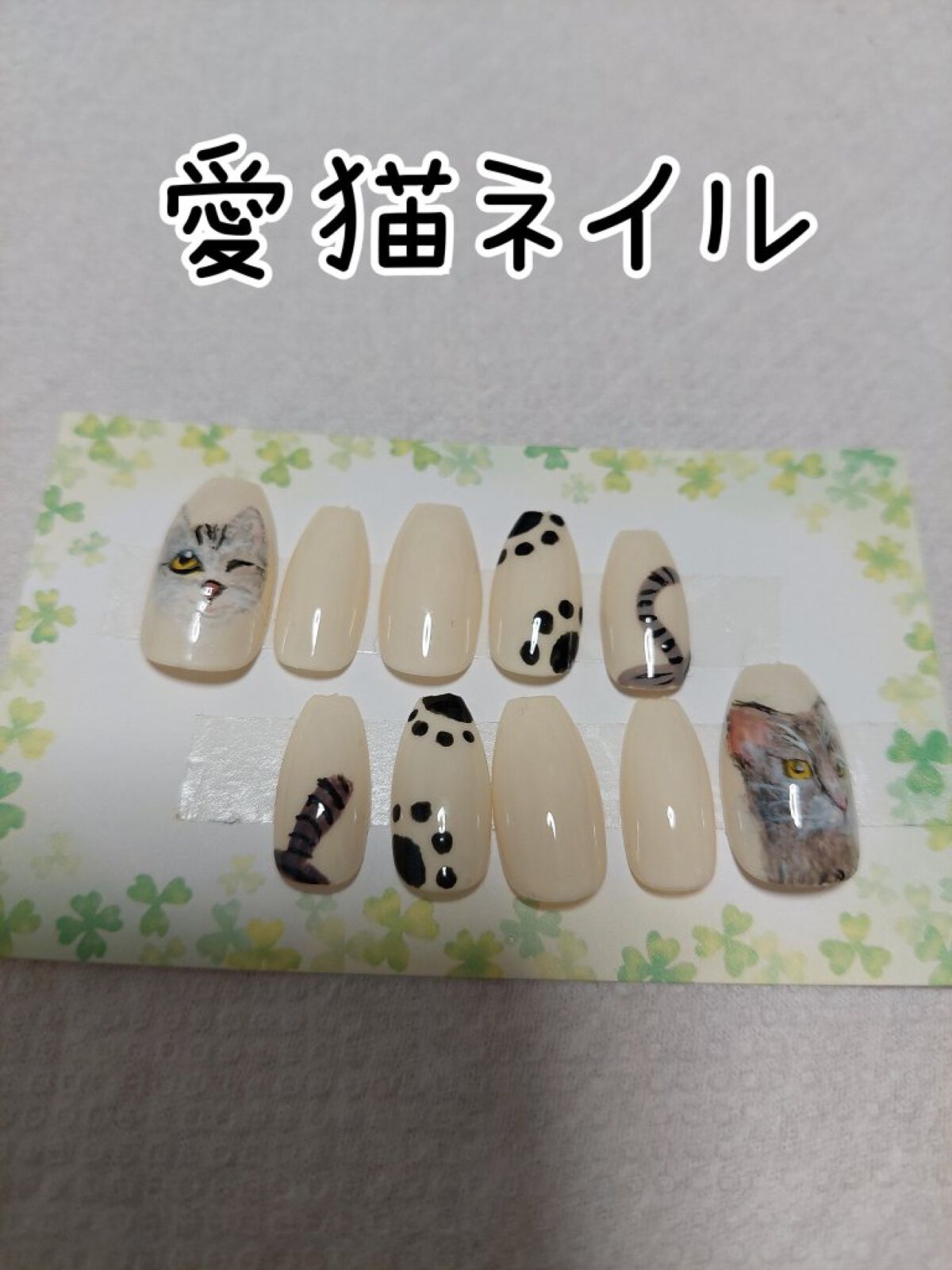 NAILTOWN GEL  ネイルタウンジェル 30色セット/NAILTOWN/ジェルネイルを使ったクチコミ（1枚目）