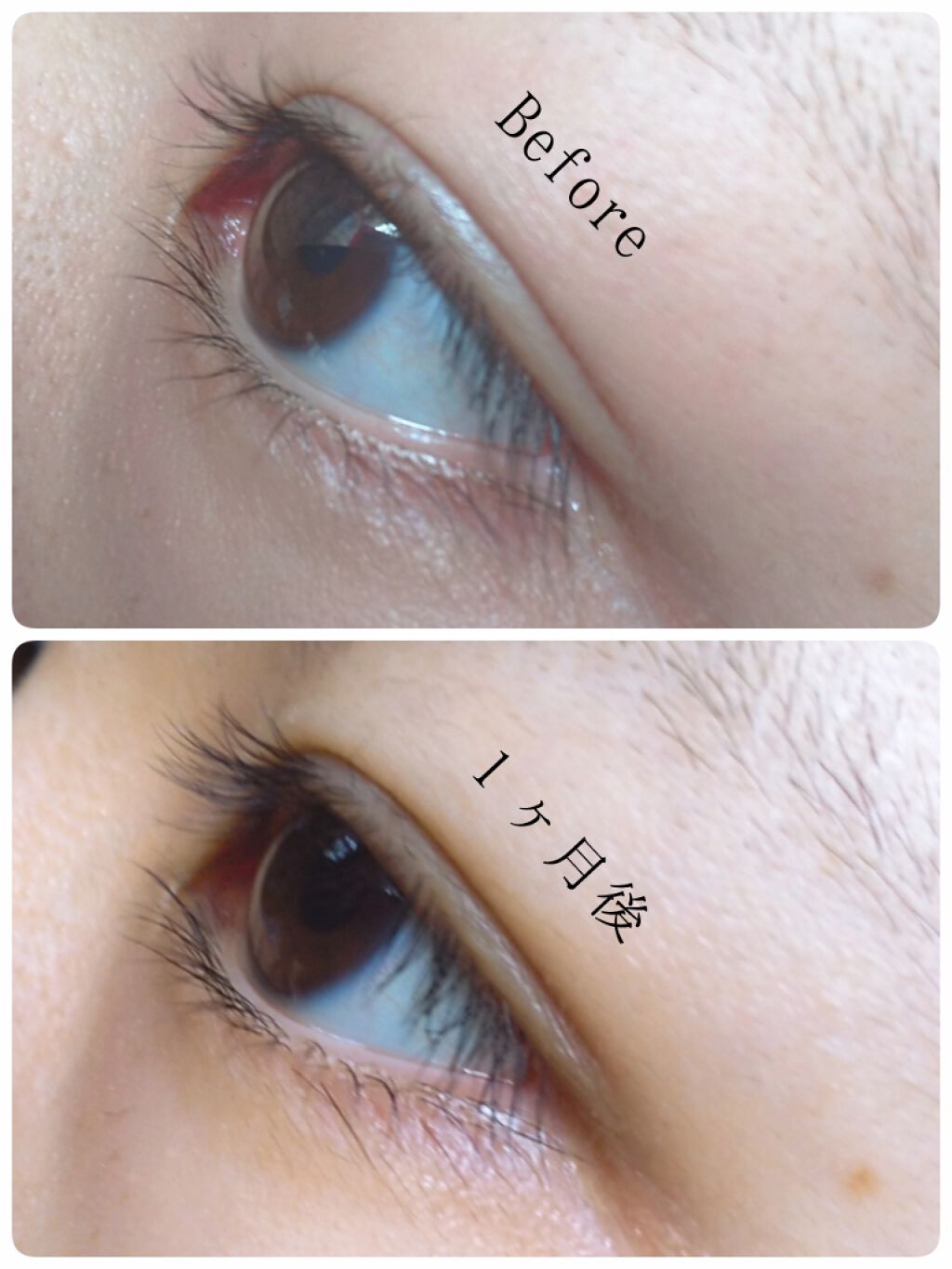 ウォータリング アイラッシュセラム/ヒロインメイク/まつげ美容液を使ったクチコミ（3枚目）