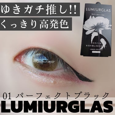 スキルレスライナー/LUMIURGLAS/リキッドアイライナーを使ったクチコミ（1枚目）