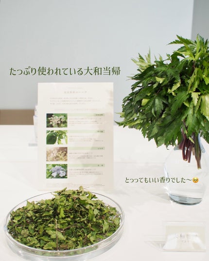 ルミヌ セラムエマルジョン/SELALY/乳液を使ったクチコミ(3枚目)