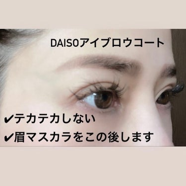 エバビレーナ アイブローコート/DAISO/アイブロウコートを使ったクチコミ（2枚目）