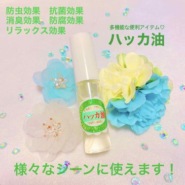 ハッカ油 スプレー式 10ml/健栄製薬/その他を使ったクチコミ（1枚目）