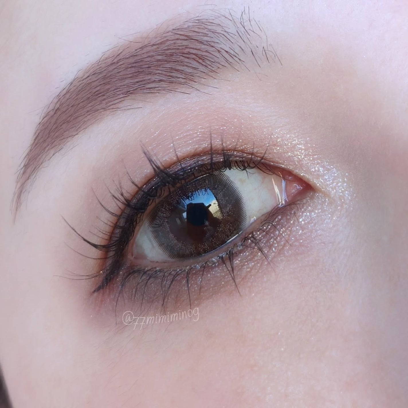 シグニチャー カラー アイズ/SUQQU/アイシャドウパレットを使ったクチコミ(6枚目)