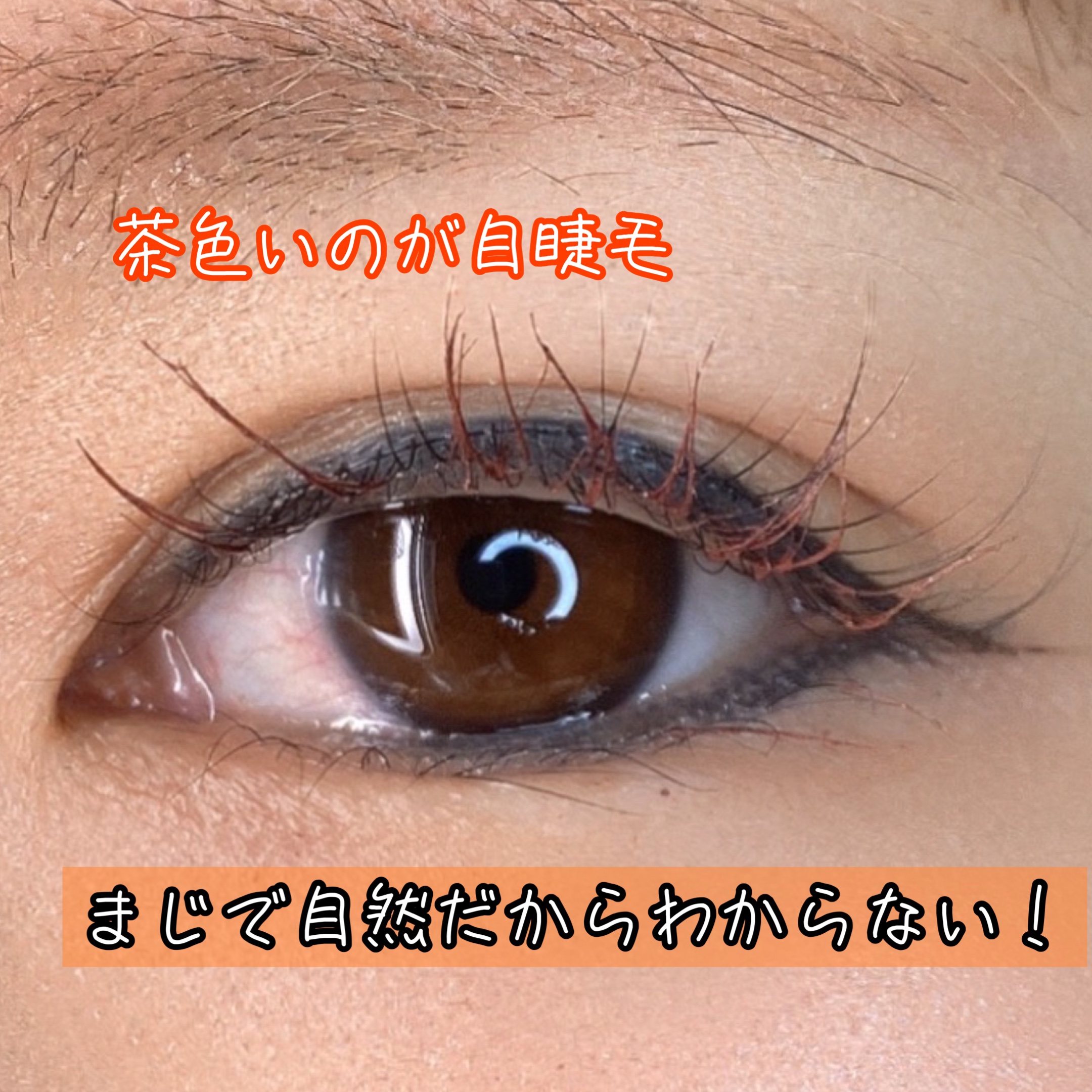 ミッシュブルーミン アイラッシュ インフィニティライン NO.201 ピュアドール/ミッシュブルーミン/つけまつげを使ったクチコミ（3枚目）