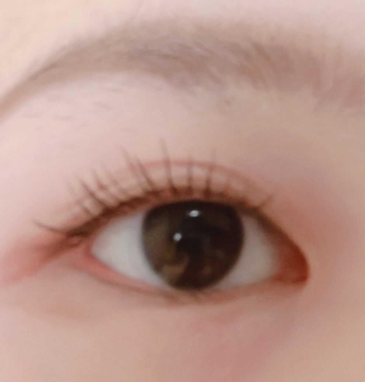 アイラッシュカーラー/セリア/ビューラーを使ったクチコミ（2枚目）