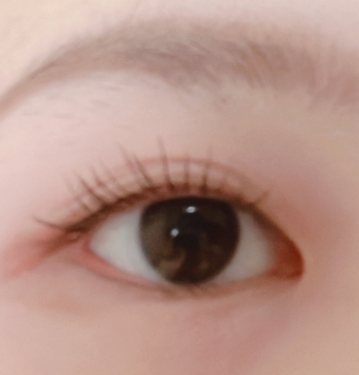 アイラッシュカーラー/セリア/ビューラーを使ったクチコミ(2枚目)