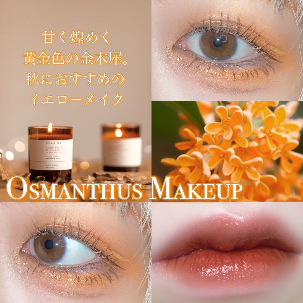 ヴィセ アヴァン シングルアイカラー/Visée/単色アイシャドウを使ったクチコミ（1枚目）