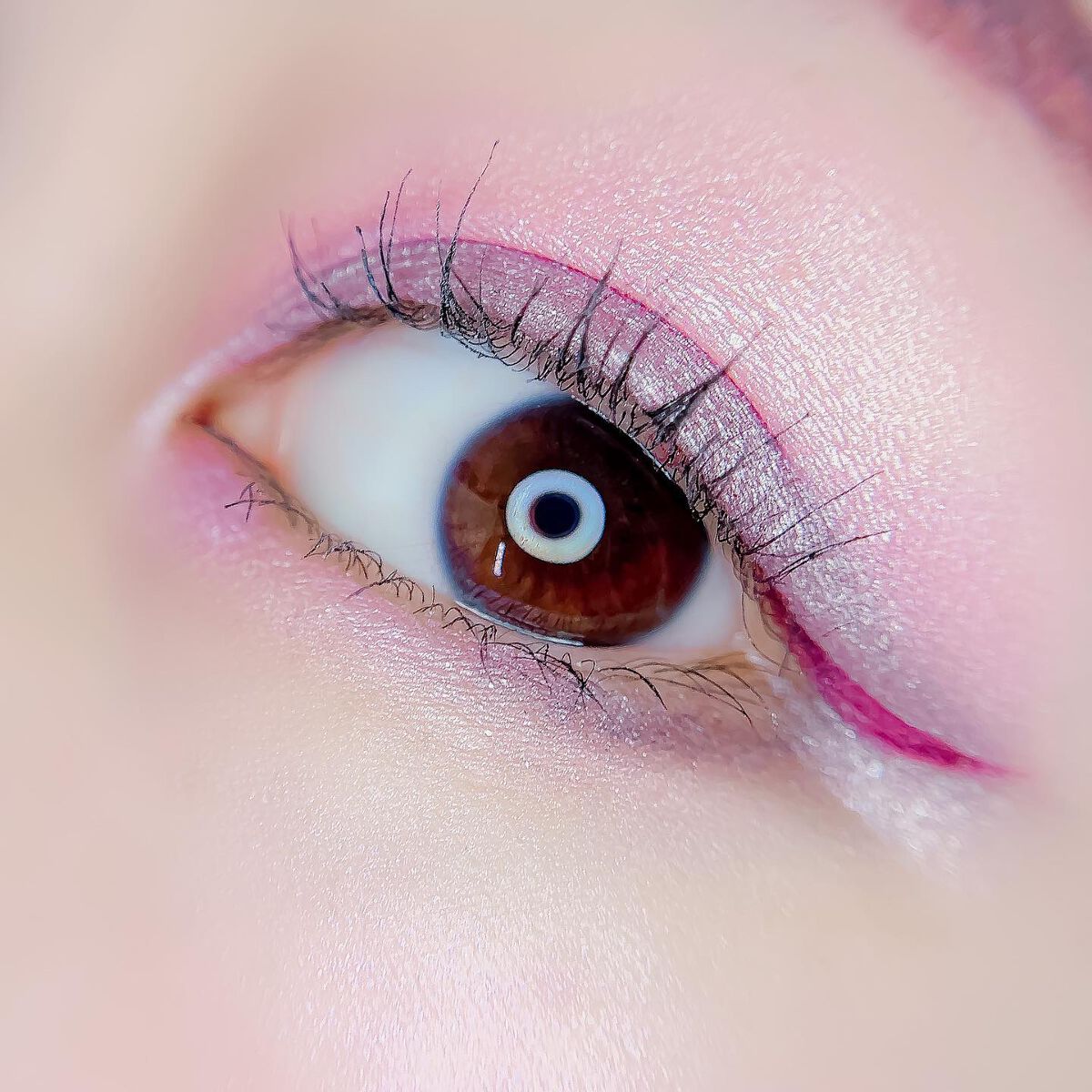 【旧】サンク クルール クチュール/Dior/アイシャドウパレットを使ったクチコミ（3枚目）