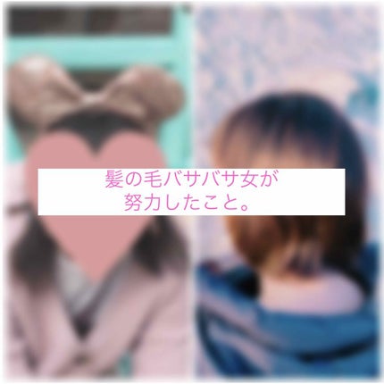プレミアムモイスト シャンプー/ヘアコンディショナー/TSUBAKI/市販シャンプーを使ったクチコミ(1枚目)