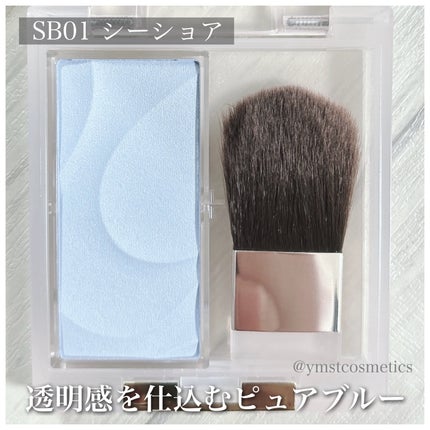 シームレストーン ブラッシュ/excel/パウダーチークを使ったクチコミ(5枚目)