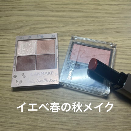 シルキースフレアイズ(マットタイプ)/キャンメイク/アイシャドウパレットを使ったクチコミ(1枚目)