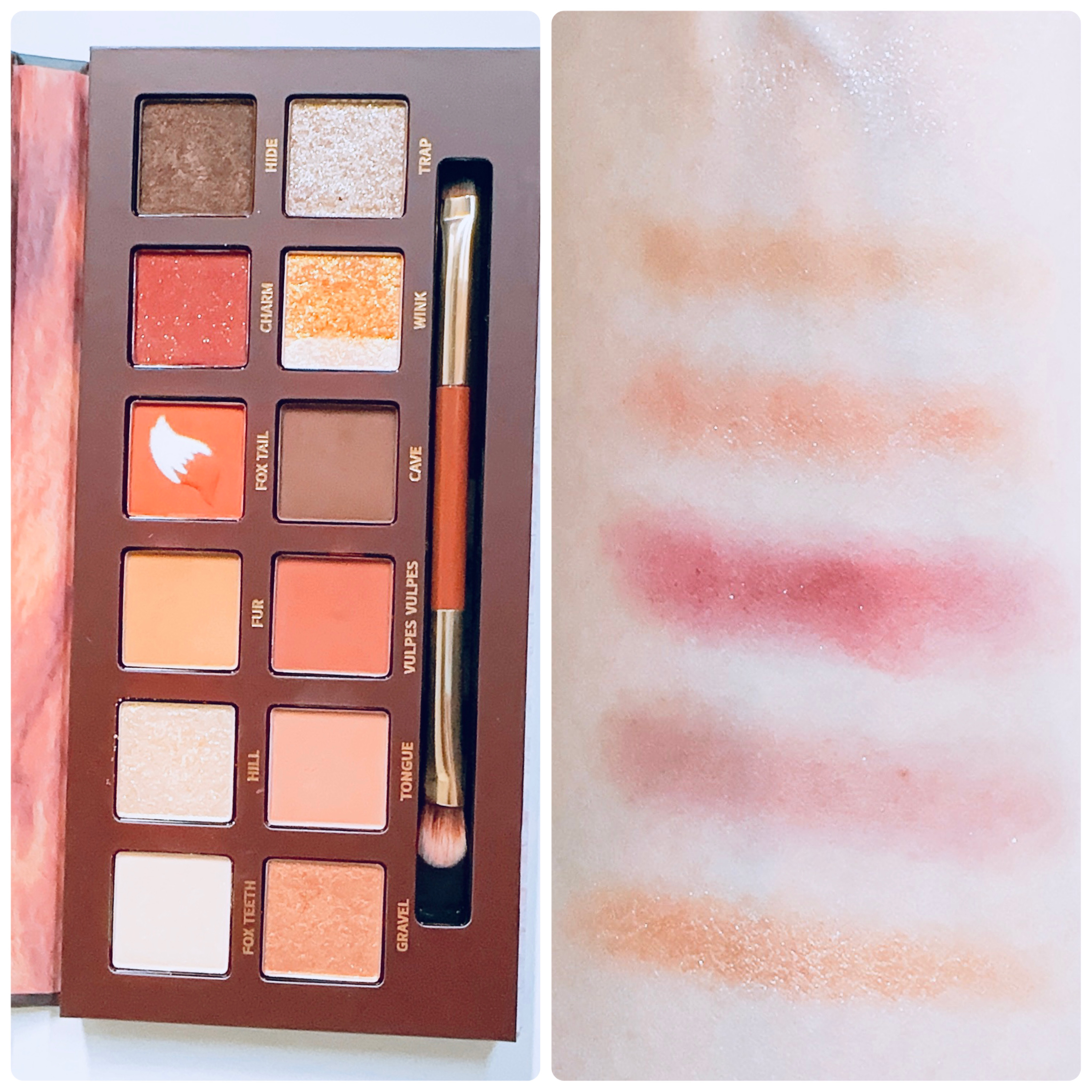 エクスプローラ12色 動物アイシャドウパレット/PERFECT DIARY/アイシャドウパレットを使ったクチコミ（3枚目）