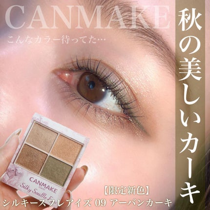 「密着アイライナー」クリームペンシル/デジャヴュ/ペンシルアイライナーを使ったクチコミ(1枚目)