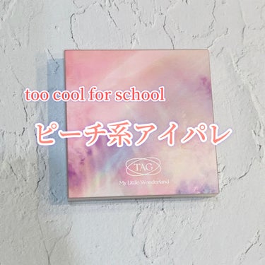 too cool for school TAG WONDERLAND EYE PALETTEのクチコミ「too cool for school ピーチ系アイパレ
📍too cool for scho.....」（1枚目）