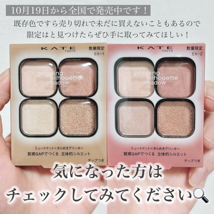 ケイト ポッピングシルエットシャドウ/KATE/アイシャドウパレットを使ったクチコミ(8枚目)