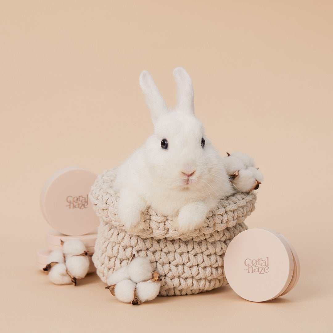 フィクシングブラークッション/Coralhaze/クッションファンデーションを使ったクチコミ(3枚目)