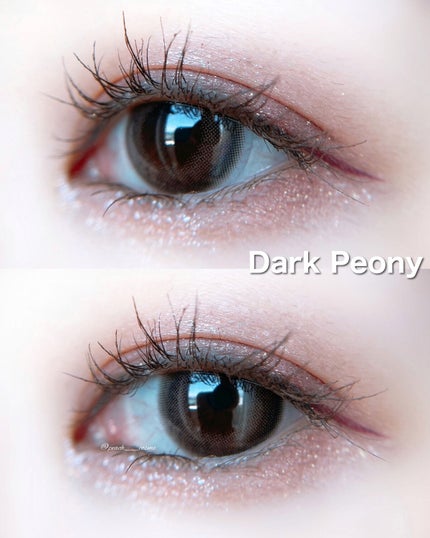 MOLAK 1day/MOLAK/ワンデー(1DAY)カラコンを使ったクチコミ(4枚目)