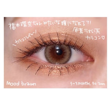 mood brown/Classilens/カラーコンタクトレンズを使ったクチコミ（1枚目）