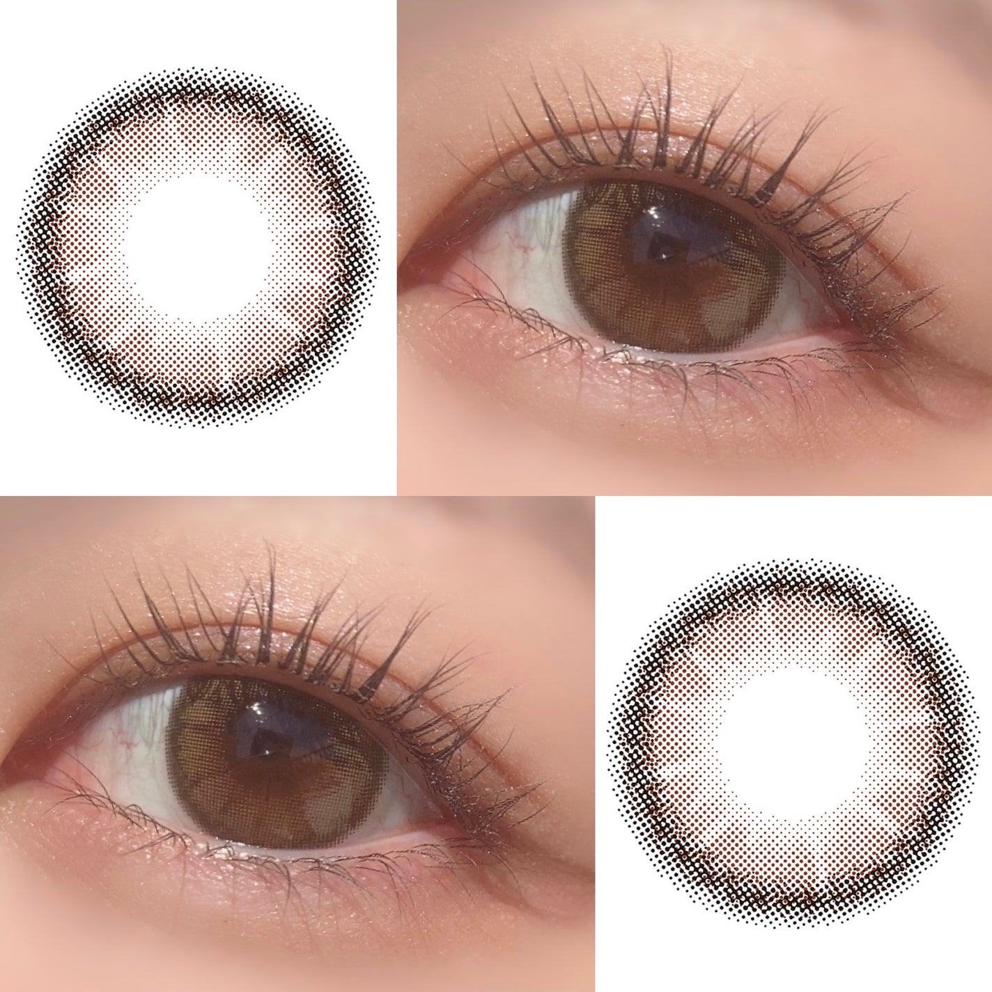 TOPARDS 1day/TOPARDS/ワンデー(1DAY)カラコンを使ったクチコミ(2枚目)