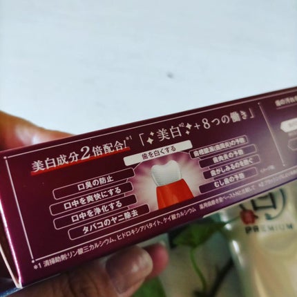 歯磨き堂 薬用ホワイトニングペースト プレミアム/歯磨き堂/歯磨き粉を使ったクチコミ(2枚目)