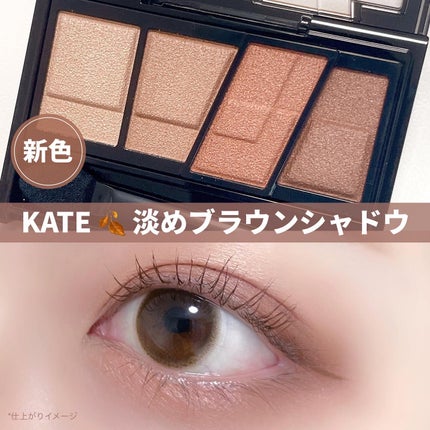 デザイニングブラウンアイズ BR-11 ヘーゼルブラウン/KATE/アイシャドウパレットを使ったクチコミ(1枚目)