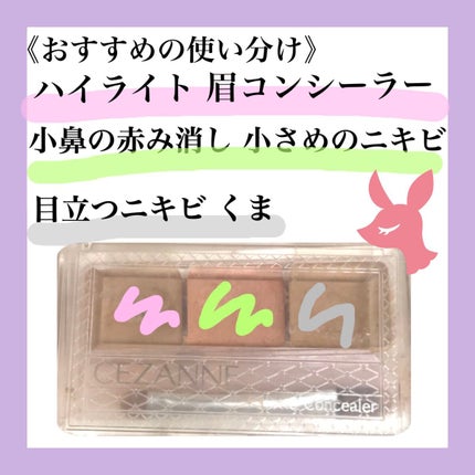 カラーミキシングコンシーラー/キャンメイク/パレットコンシーラーを使ったクチコミ(5枚目)
