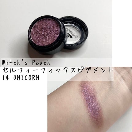 セルフィーフィックスピグメント/Witch's Pouch/単色アイシャドウを使ったクチコミ(1枚目)