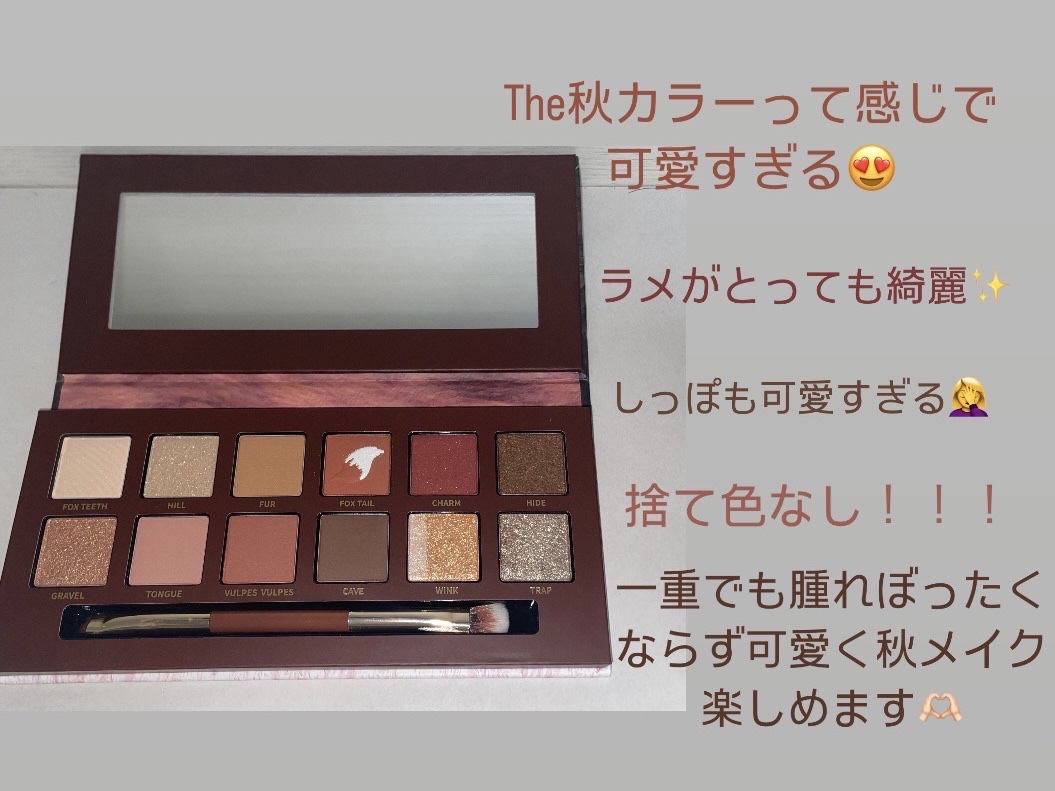 エクスプローラ12色 動物アイシャドウパレット/PERFECT DIARY/アイシャドウパレットを使ったクチコミ（2枚目）