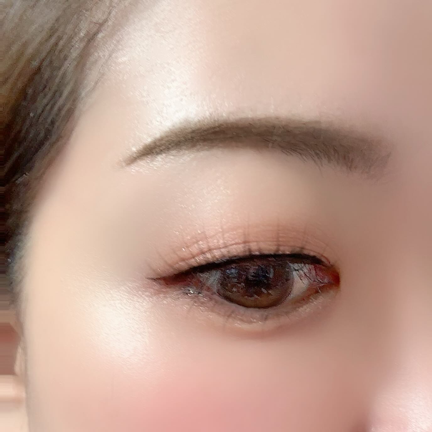 プランぷくコーデアイズ/キャンメイク/パウダーアイシャドウを使ったクチコミ（3枚目）