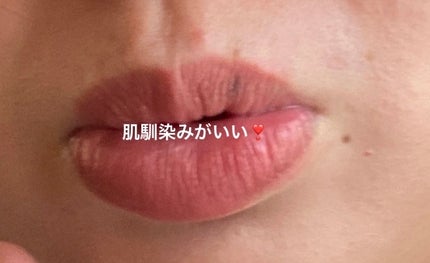 ネンマクフェイク ルージュ/Visée/口紅を使ったクチコミ(3枚目)