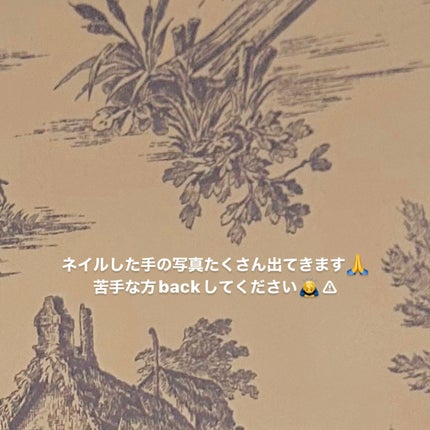 パル カラージェル/キャンドゥ/ジェルネイルを使ったクチコミ(2枚目)