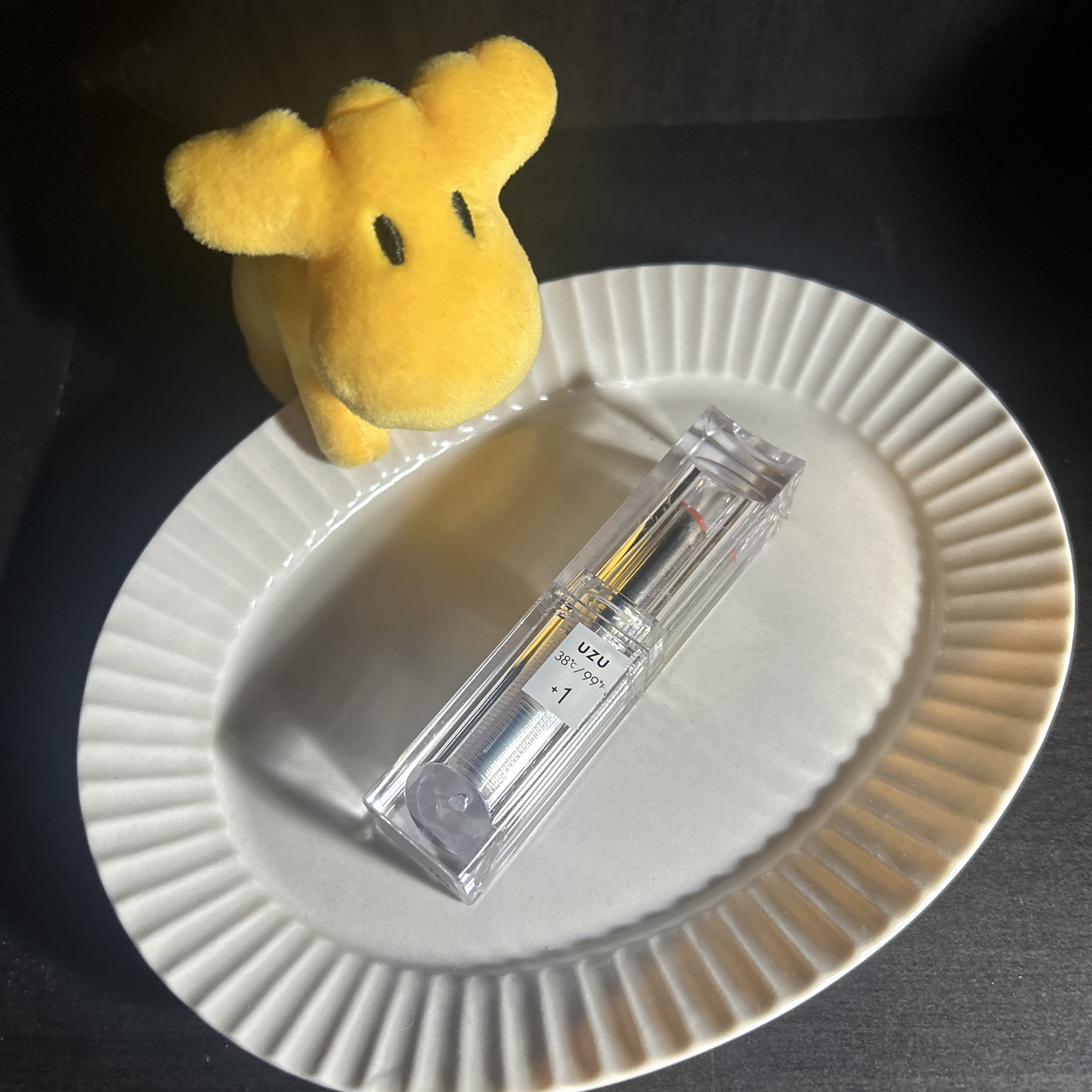  38°C / 99°F Lipstick <TOKYO>/UZU BY FLOWFUSHI/口紅を使ったクチコミ（1枚目）