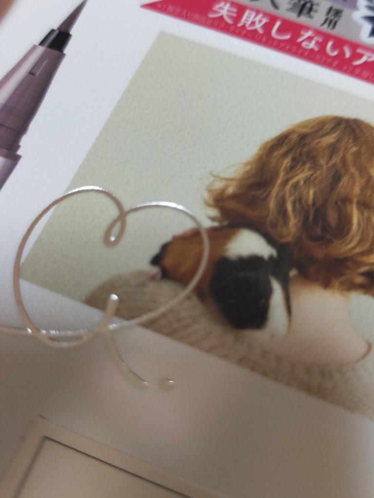 リキッドアイライナーR4/ラブ・ライナー/リキッドアイライナーを使ったクチコミ（1枚目）