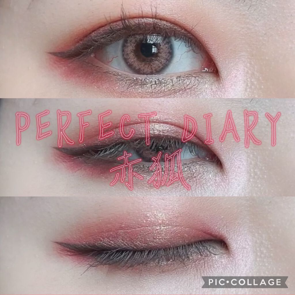 エクスプローラ12色 動物アイシャドウパレット/PERFECT DIARY/アイシャドウパレットを使ったクチコミ（1枚目）