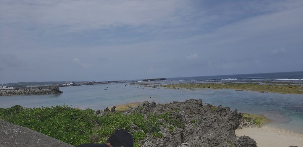 アップルフィットブラッシャー/EGLIPS/パウダーチークを使ったクチコミ（1枚目）