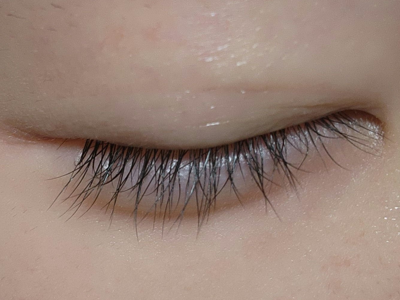 ハンオールラッシュセラム/rom&nd/まつげ美容液を使ったクチコミ（1枚目）