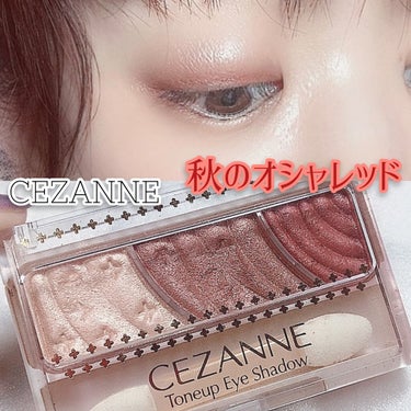 トーンアップアイシャドウ/CEZANNE/アイシャドウパレットを使ったクチコミ（1枚目）