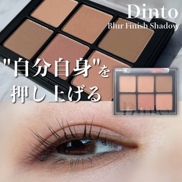 ブラーフィニシュシャドウパレット/Dinto/アイシャドウパレットを使ったクチコミ（1枚目）