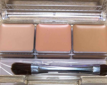 パレットコンシーラー/CEZANNE/パレットコンシーラーを使ったクチコミ(2枚目)