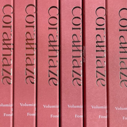 ボリューマイジングフォンデュリップ/Coralhaze/口紅を使ったクチコミ(10枚目)